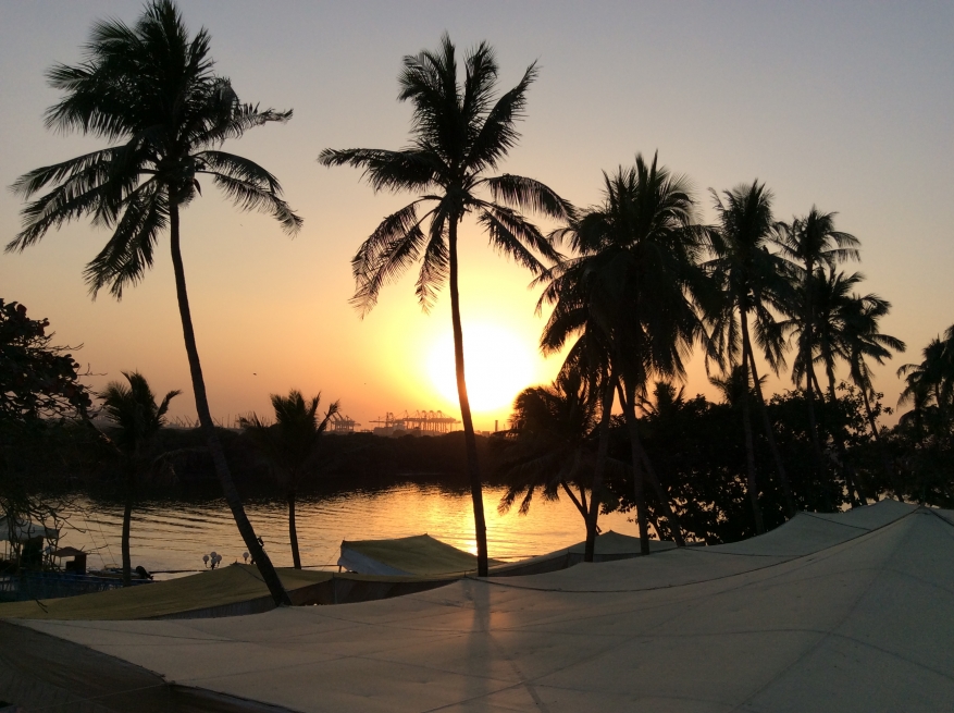 Mango Swamp at Sunset